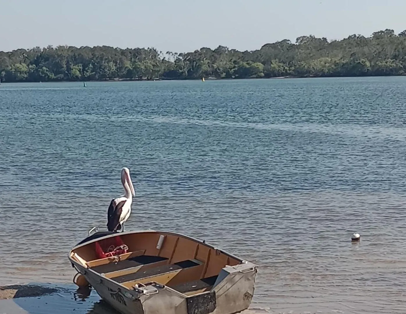 Maroochydore Waters Bnb 0*,  Australia